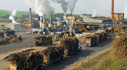 pulp & sugar processing industries