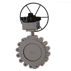 Double Eccentric Butterfly Valve