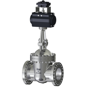 Anti Shock Gate Valve