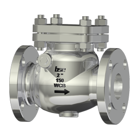 Oxygen Check Valve